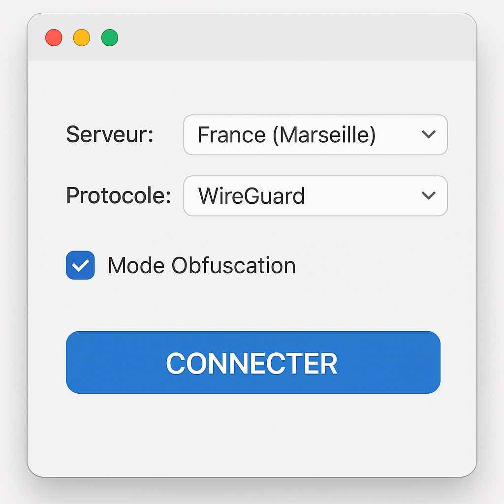 Réglages VPN France avec obfuscation activée Réglages VPN France avec obfuscation activée